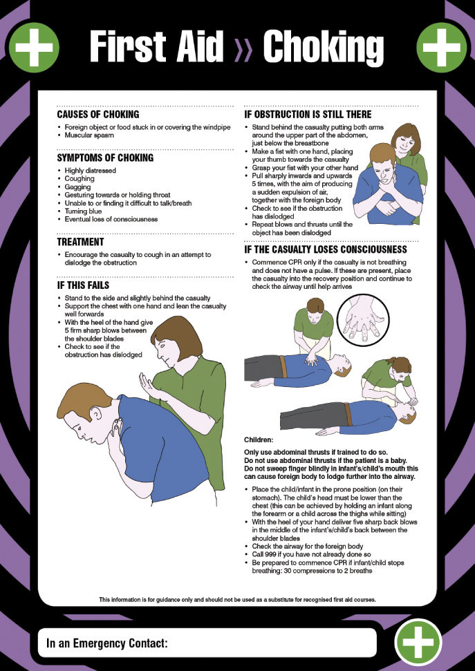 First Aid Choking 420x594mm Poster